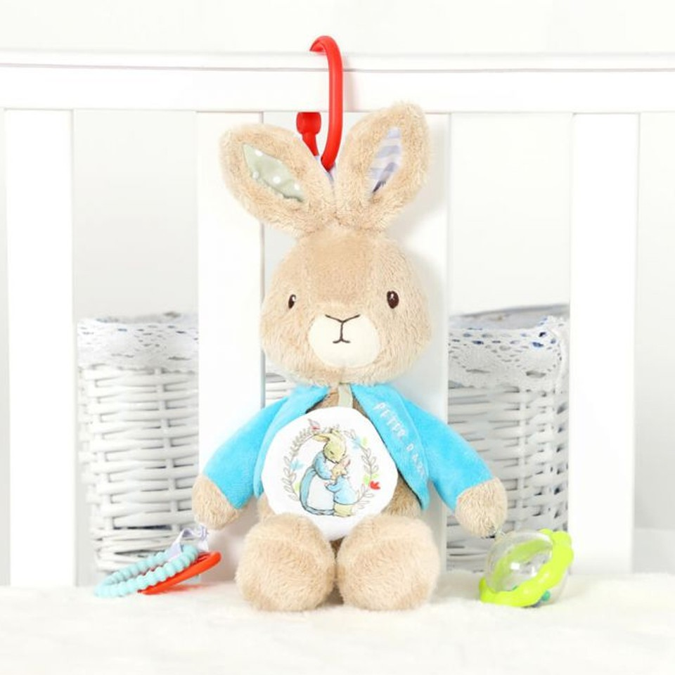 PETER RABBIT ACTIVITY TOY