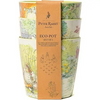 PETER RABBIT ECO POT 