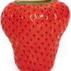 STRAWBERRY VASE ONE SIZE